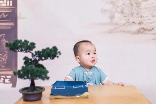 国内试管代孕孕妈7个月是多少周